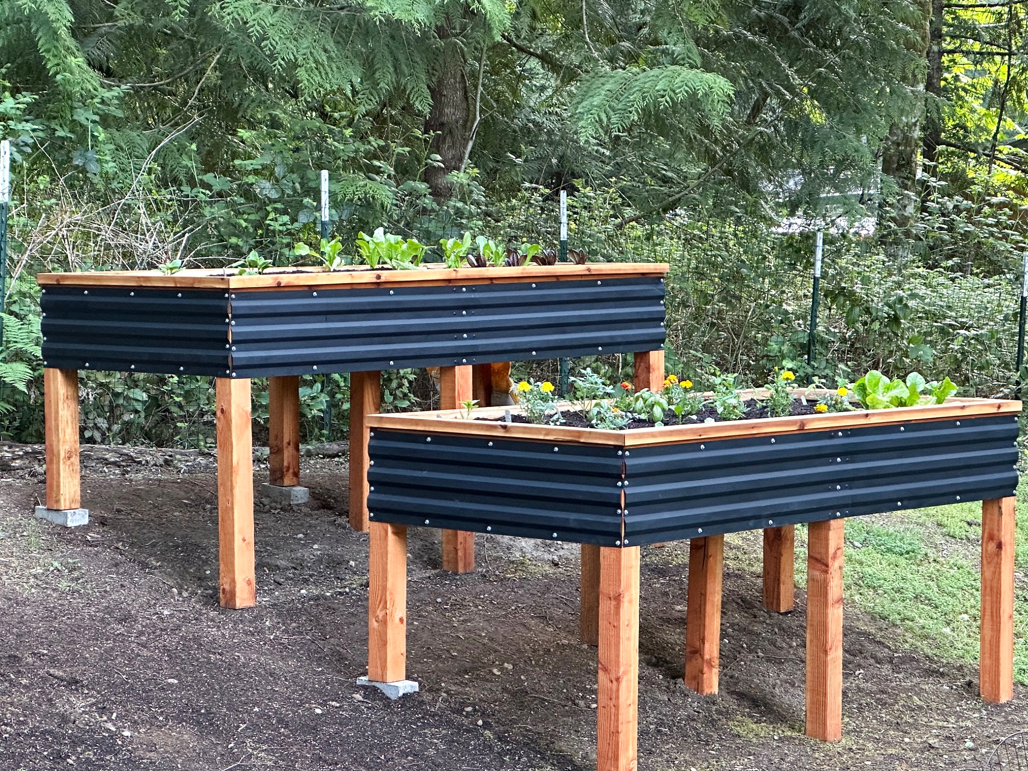 Elevated Garden Beds